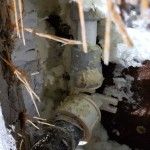 Menjava zun. pipa - McDonalds (2)