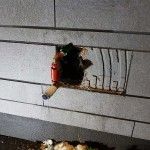 Menjava zun. pipa - McDonalds (3)